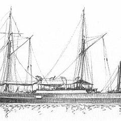 1861 - Trasporto 'Dora'